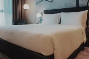 Mattress Cleaning