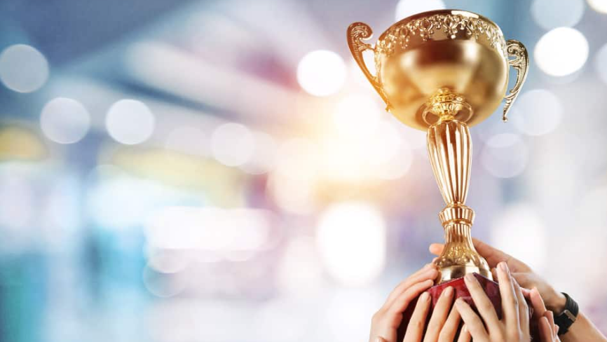 professional achievements